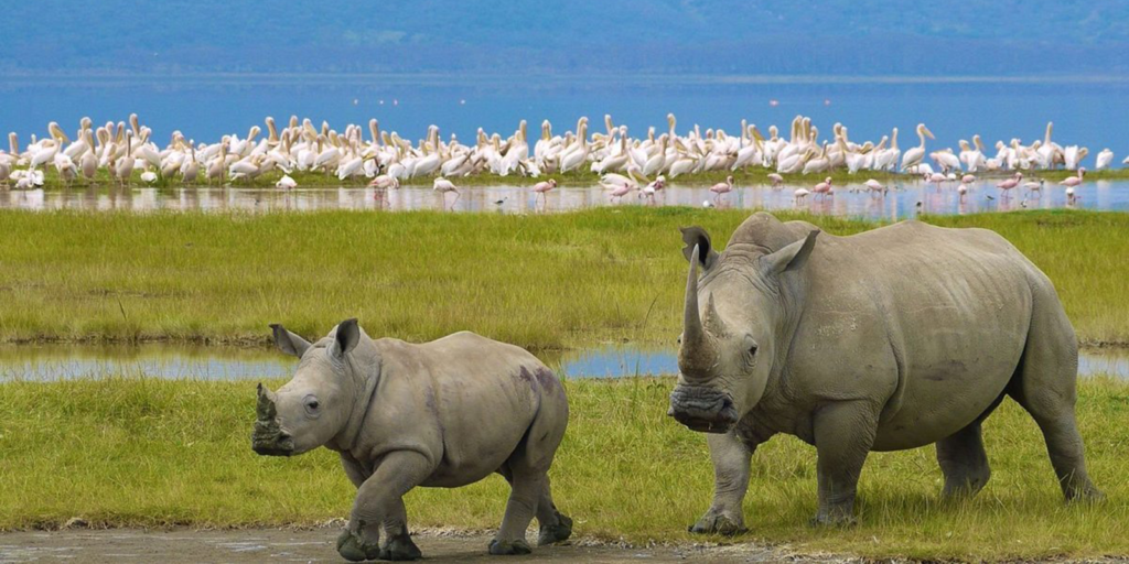 Lake-Nakuru-National-Park