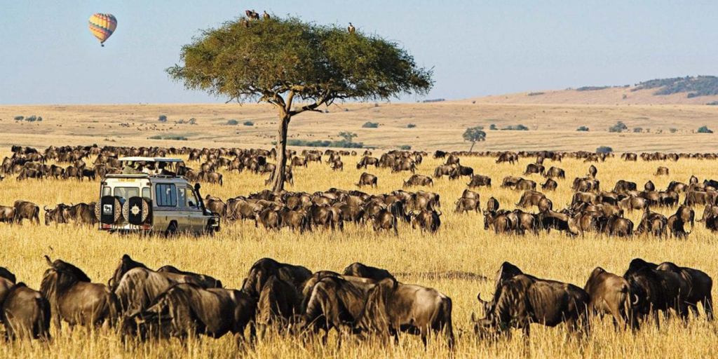 Maasai-Mara-National-Reserve
