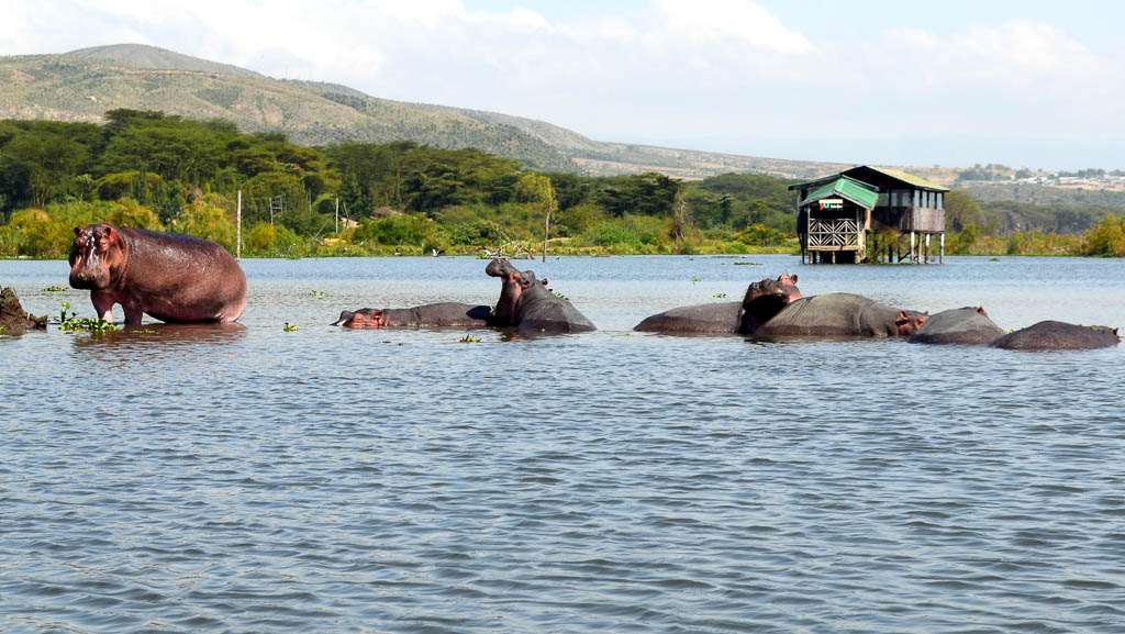 Naivasha