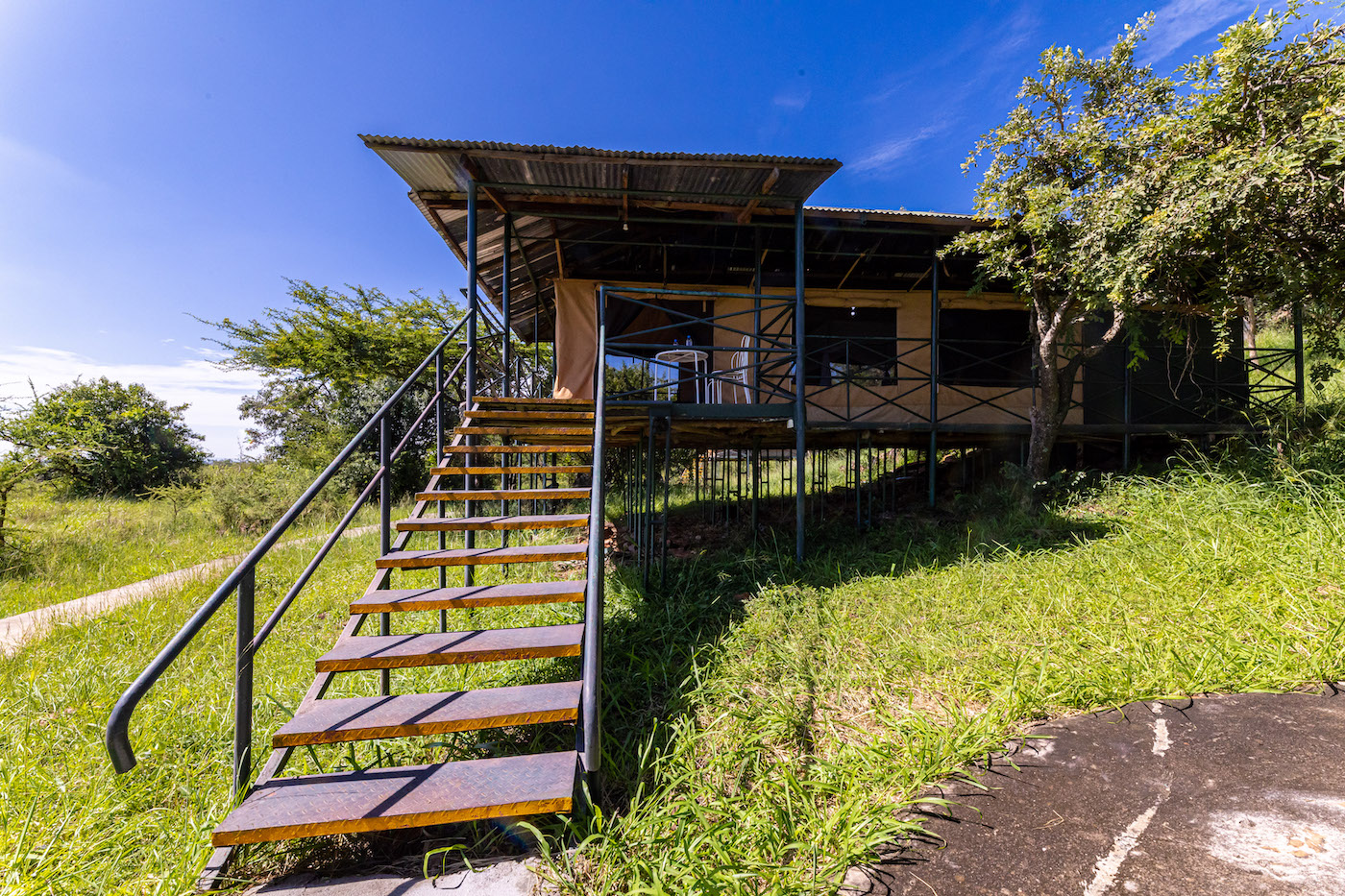 Ikoma Wild Camp - Elegant Escape Africa