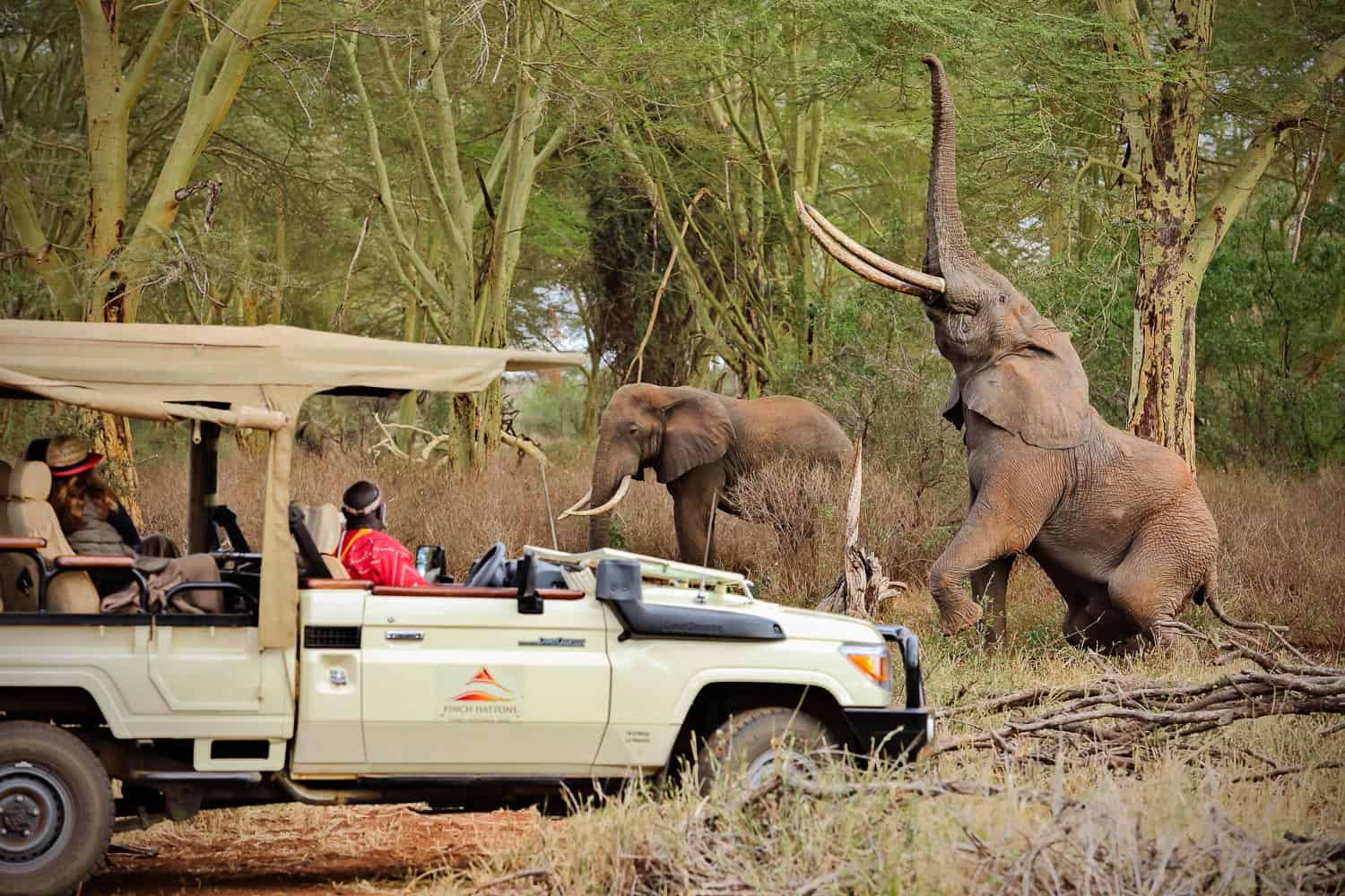 Tsavo West