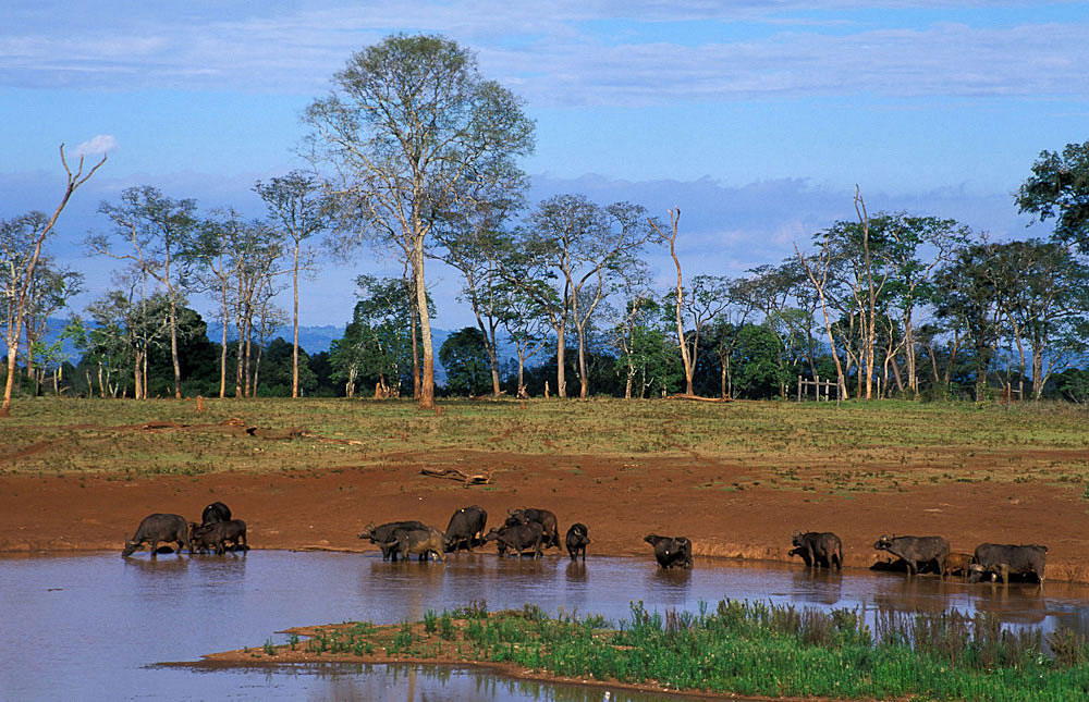 Aberdere National Park