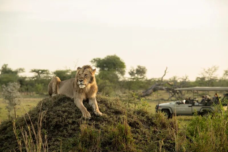 3 Days Masai Mara Expedition Safari