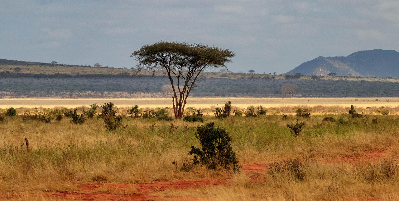11 Days Kenya bush Expeditions