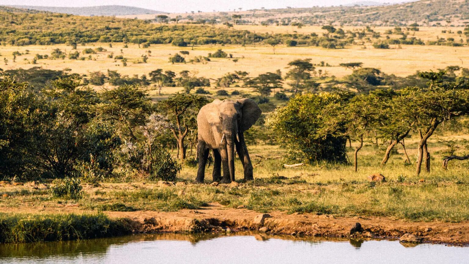Kenya