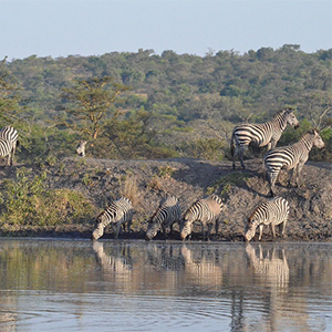 Itinerary Image