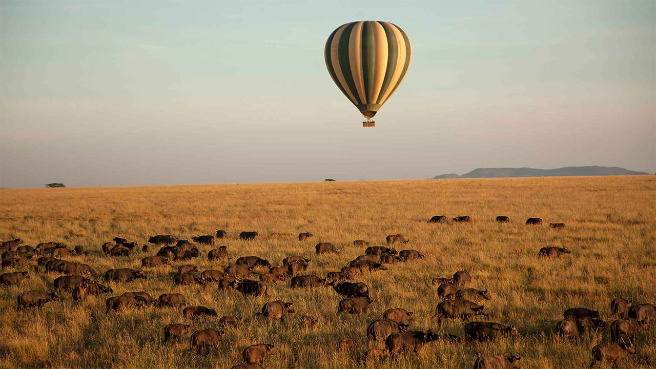 3 Days Serengeti Sky Safari