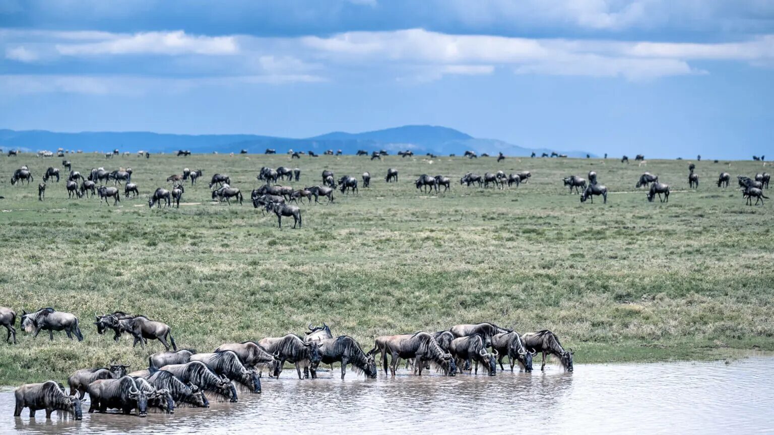 Tanzania